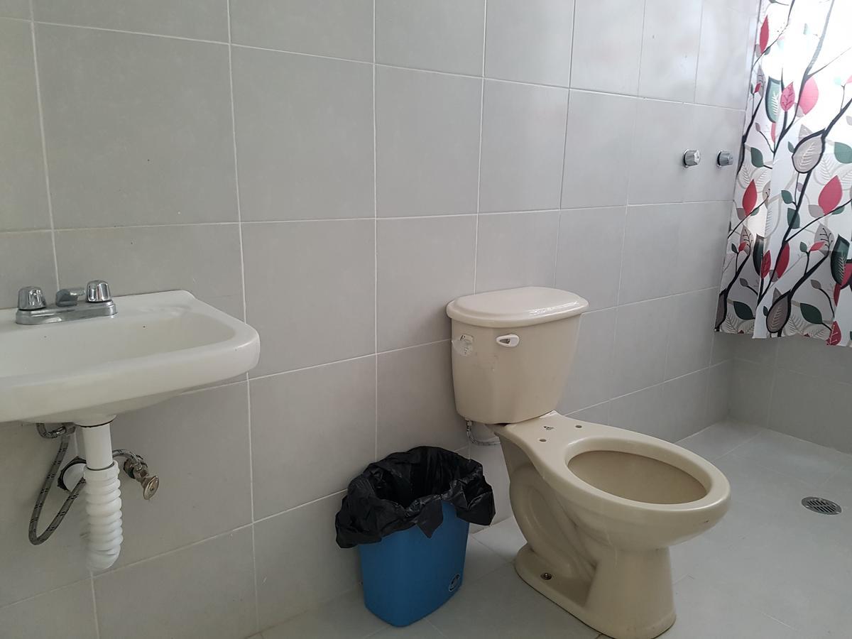 Hostal Ciudad De Mexico Экстерьер фото